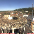 11_40-nest.jpg