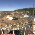 11_50-nest.jpg