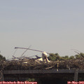 12_00-mast.jpg