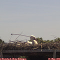 12_05-mast.jpg