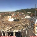 12_05-nest.jpg