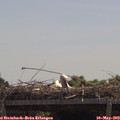 12_10-mast.jpg