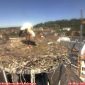 12_25-nest.jpg
