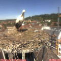 12_30-nest.jpg