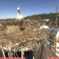12_35-nest.jpg