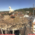 12_40-nest.jpg