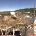 13_10-nest.jpg