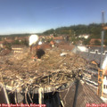 13_15-nest.jpg