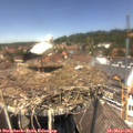 13_20-nest.jpg