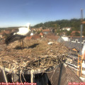 13_30-nest.jpg