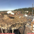 13_35-nest.jpg
