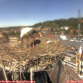 13_45-nest.jpg