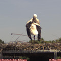 14_05-mast.jpg