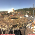 14_05-nest.jpg