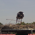 14_10-mast.jpg