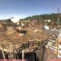 14_10-nest.jpg