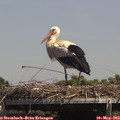 14_20-mast.jpg