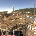 14_30-nest.jpg