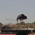 14_35-mast.jpg