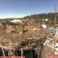 14_35-nest.jpg