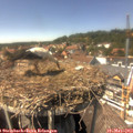 14_40-nest.jpg