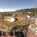 14_45-nest.jpg