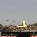 14_55-mast.jpg