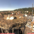14_55-nest.jpg