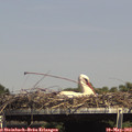 15_00-mast.jpg