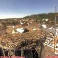 15_00-nest.jpg