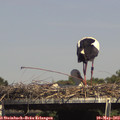 15_05-mast.jpg