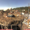 15_05-nest.jpg