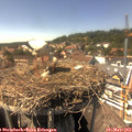 15_20-nest.jpg
