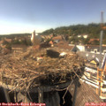15_55-nest.jpg