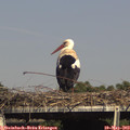 16_05-mast.jpg