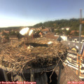 16_05-nest.jpg