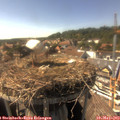 16_15-nest.jpg