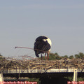 16_35-mast.jpg