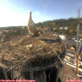 17_20-nest.jpg