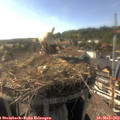 17_25-nest.jpg