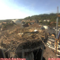 17_35-nest.jpg