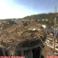 17_40-nest.jpg