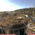 17_45-nest.jpg