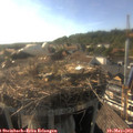 18_00-nest.jpg
