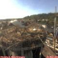 18_10-nest.jpg