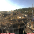 18_15-nest.jpg