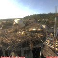 18_20-nest.jpg