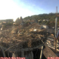 18_35-nest.jpg
