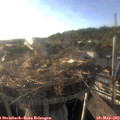 18_40-nest.jpg