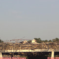 19_10-mast.jpg